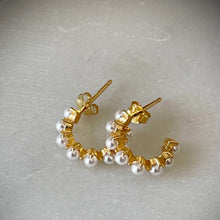 Load image into Gallery viewer, Pompeii luxe earrings